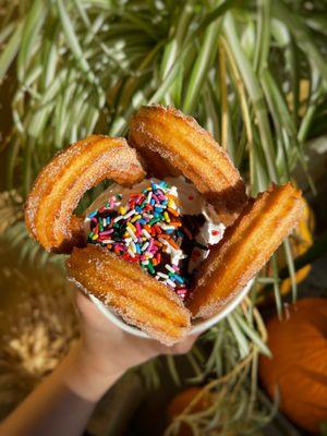 Churros Ice Cream Bowl  4 Churros lazos, Whip Cream, Chocolate Sauce, Sprinkles and a Scoop of Vanilla, Chocolate, or Horchata Ice Cream