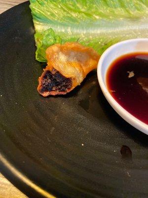 Burnt Gyoza