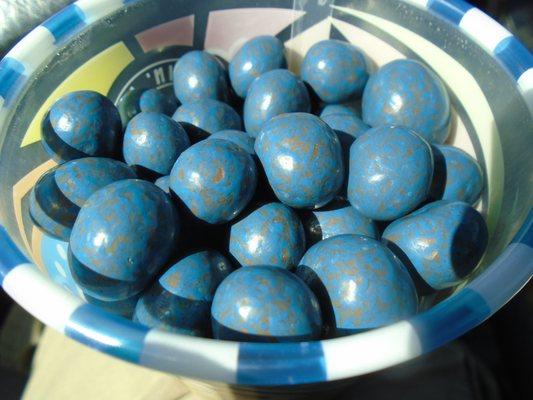 Rustic Blue chocolate covered blueberries, close-up.