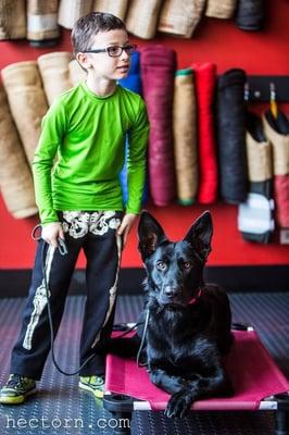 11 year old Joe training his GSD Gemma in "lifetime group class"