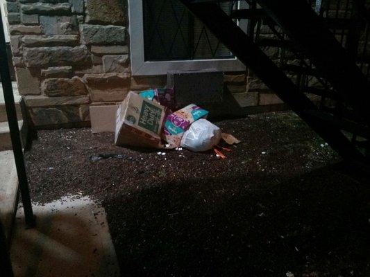 Actual trash left outside by the less than optimal tenants.