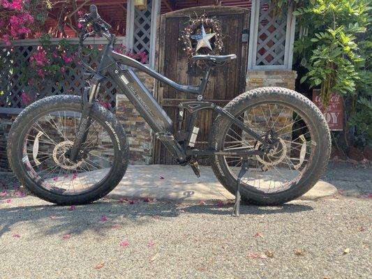 Mountain Ebike repaired