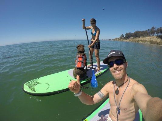 Dogs are welcome at Covewater New Brighton SUP ;)