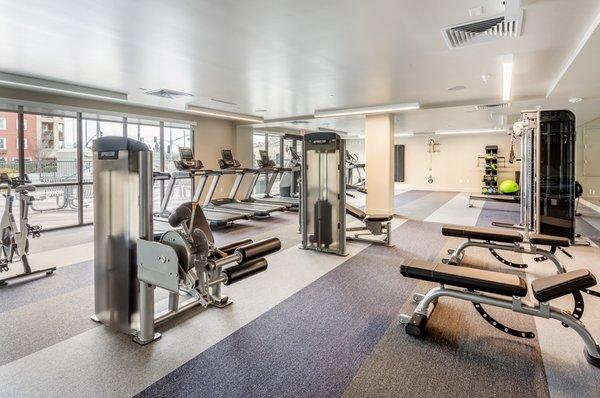 Fitness center with cardio and strength training equipment.