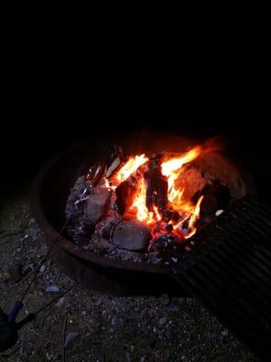 Hot dogs over the campfire!