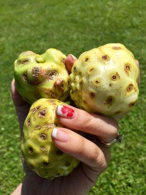 Noni fruit- fruit for your health. It smells bad but sooo good for you.  If you're lucky you may get a juice shot.