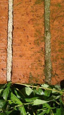 Brick moss removal