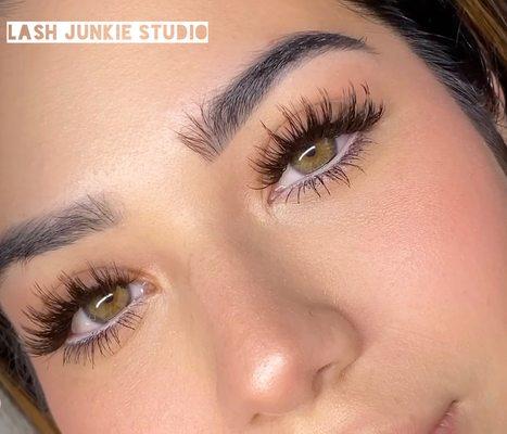 Lash Junkie Studio