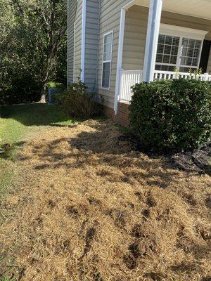 Grass seed and straw spread over the backfilled ditch