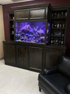 150 gallon reef tank