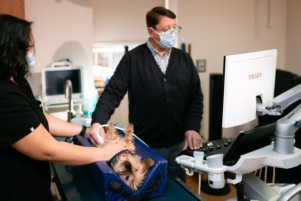 Dr. Crawford-Jakubiak preforming an Ultrasound