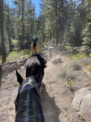 Trail ride at Alpine Meadows Stable.