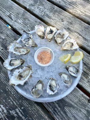 Dozen Oysters! So fresh!