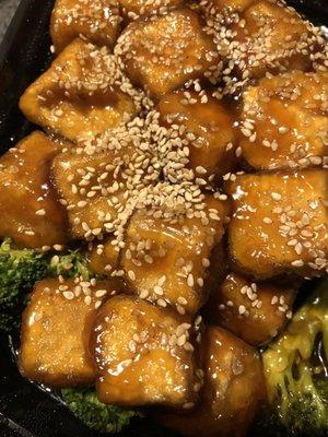 H9. Sesame Tofu - really good!!