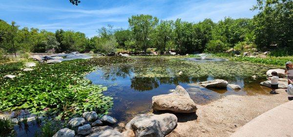 Beautiful pond.