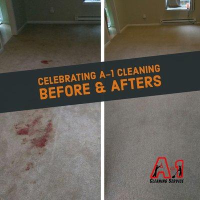 Blood stains, no problem for our carpet Crew!