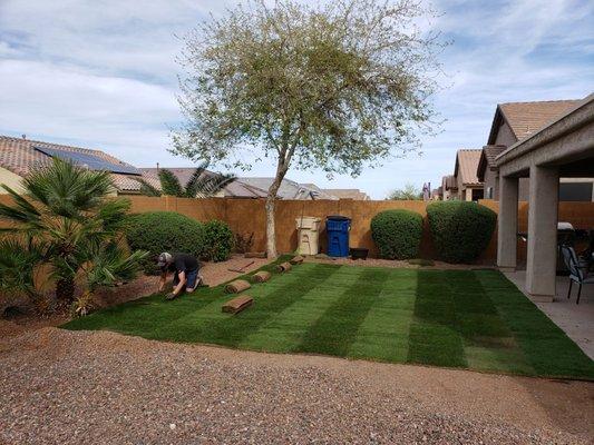 Install day!  Sod came right as scheduled and looked great!