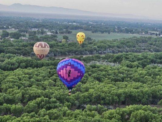 Balloons in the bosque