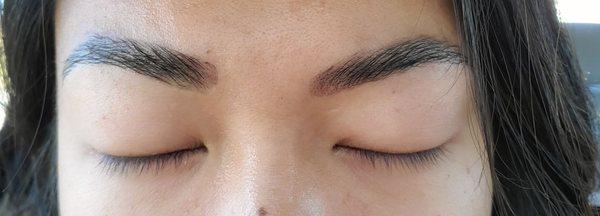 Brow lamination, tidy, and tint. 3rd lamination, every 6 weeks.