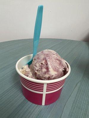 Blueberry Cobbler Ice Cream