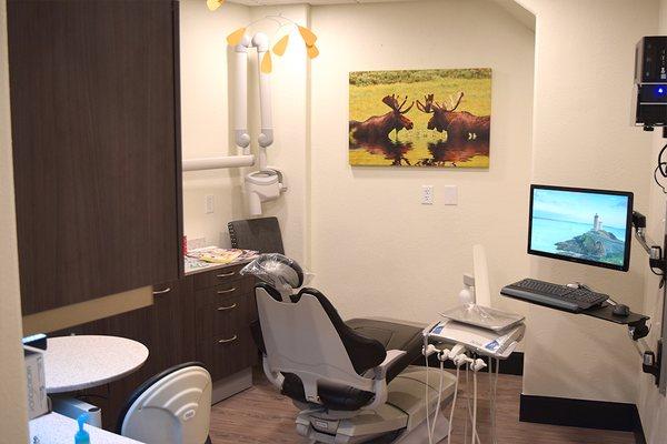 Dental Patient room- Ten Mile Dental