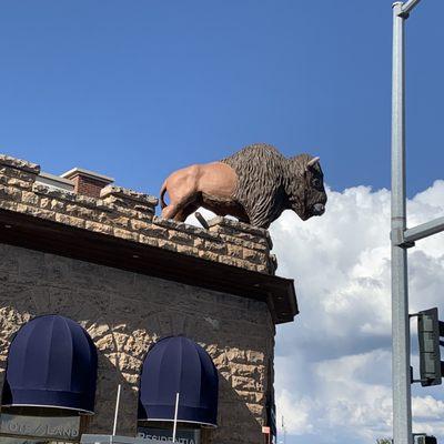 Tatanka Tavern bison above sidewalk