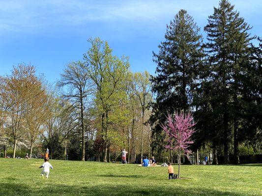 The grass field is pretty big for people to enjoy picnic.