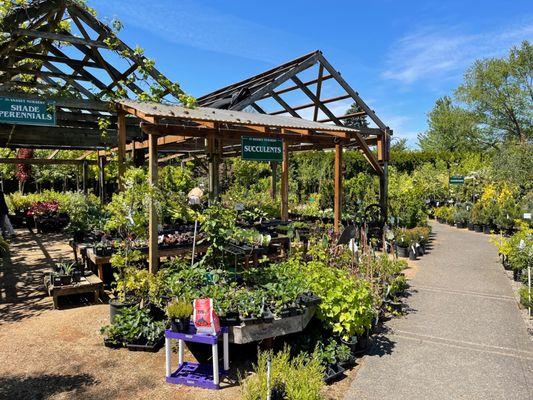 Vassey Nursery