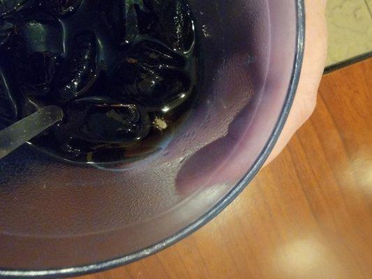 Bug in drink.