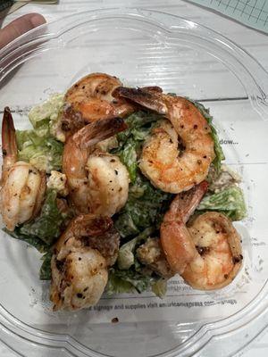 Grill shrimp Caesar salad!