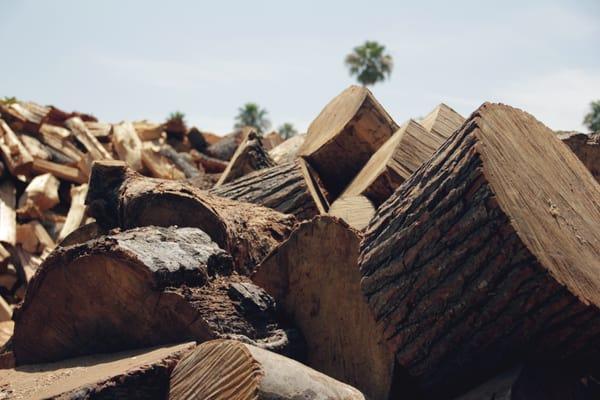 View from the lumberyard at Glatts Firewood