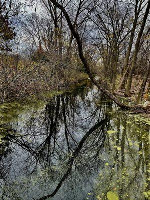 Springbrook Nature Center