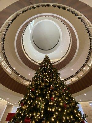 It's a three-story Christmas tree right in the middle of the lobby!