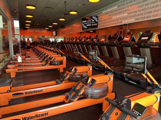 Treadmills and water rowers for the workout. Weight floor equipment in the background too!