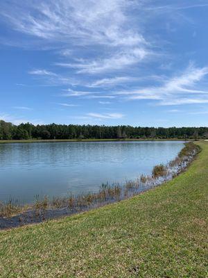 Peaceful walking area near the hospital.