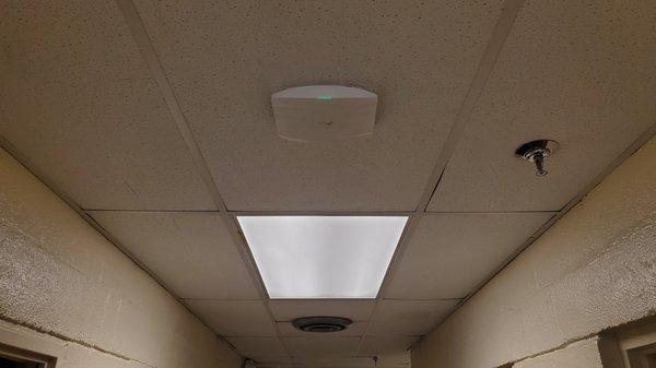 New wireless access point install for a business customer.