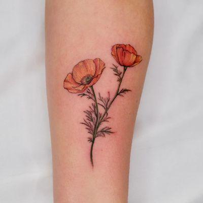 California poppies by Esther