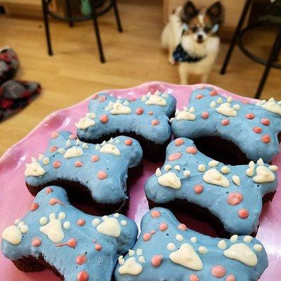 We are always dog-friendly at Doggie Cakes. Make it a great day out with your pup.