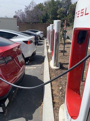 Busy charging station -- in a plaza (next to Big Five Sporting)