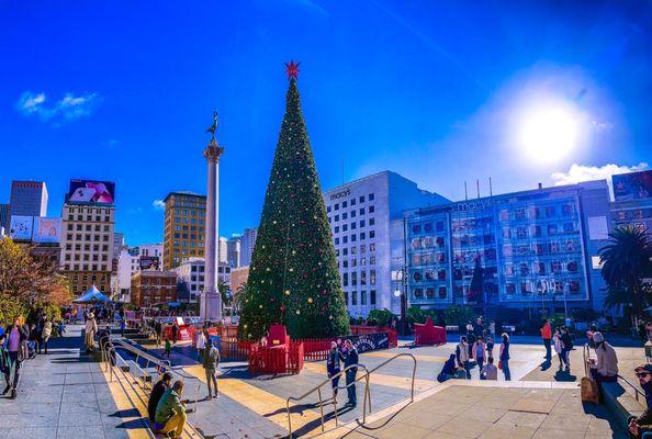 Macy's Christmas Tree