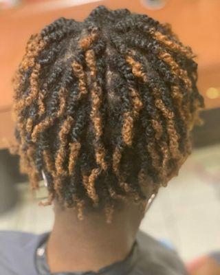 Smeduim Natural Two Strand Twist