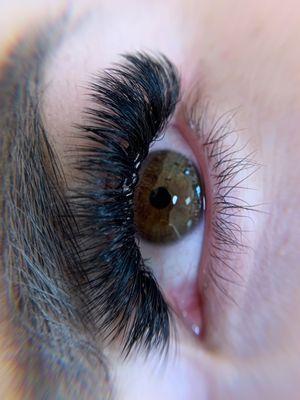 Volume Eyelash Extensions