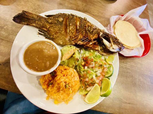 Fried Tilapia- Seasoned perfectly! Rice, beans, salad and guacamole. Corn tortillas on the side.