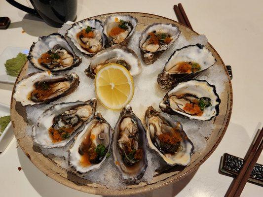 Fresh Oysters from Japan