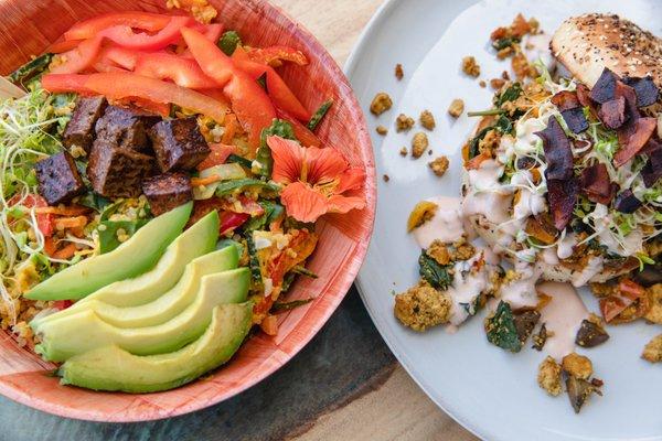 Tofu Bowls