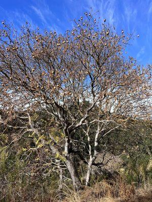 Heintz Open Space