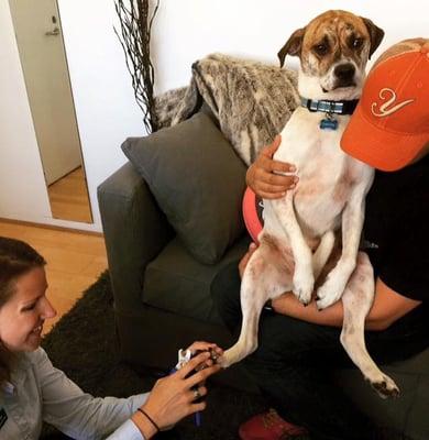 Simon preferred that dad hold him for his nail trim.