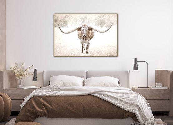 Texas longhorn photo