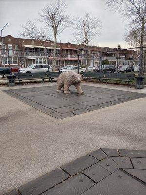 Bear in the park