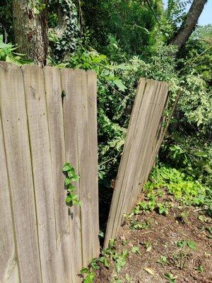 They broke my fence.